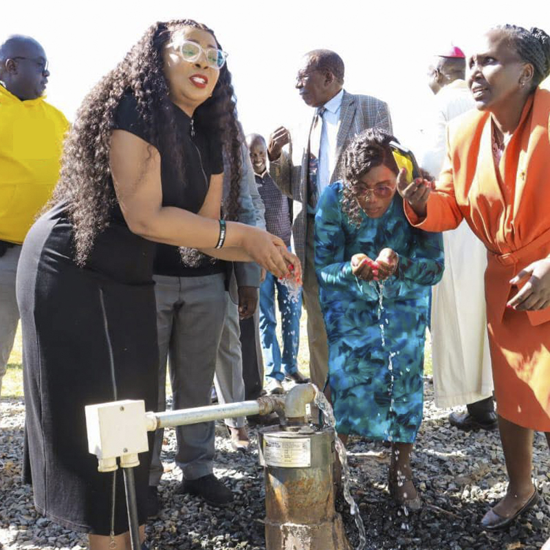 Borehole Drilling Initiatives